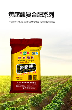 黄腐酸好色先生黄片软件系列