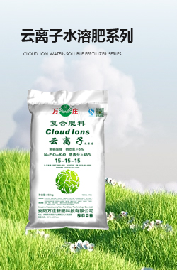 云离子下载好色先生肥系列